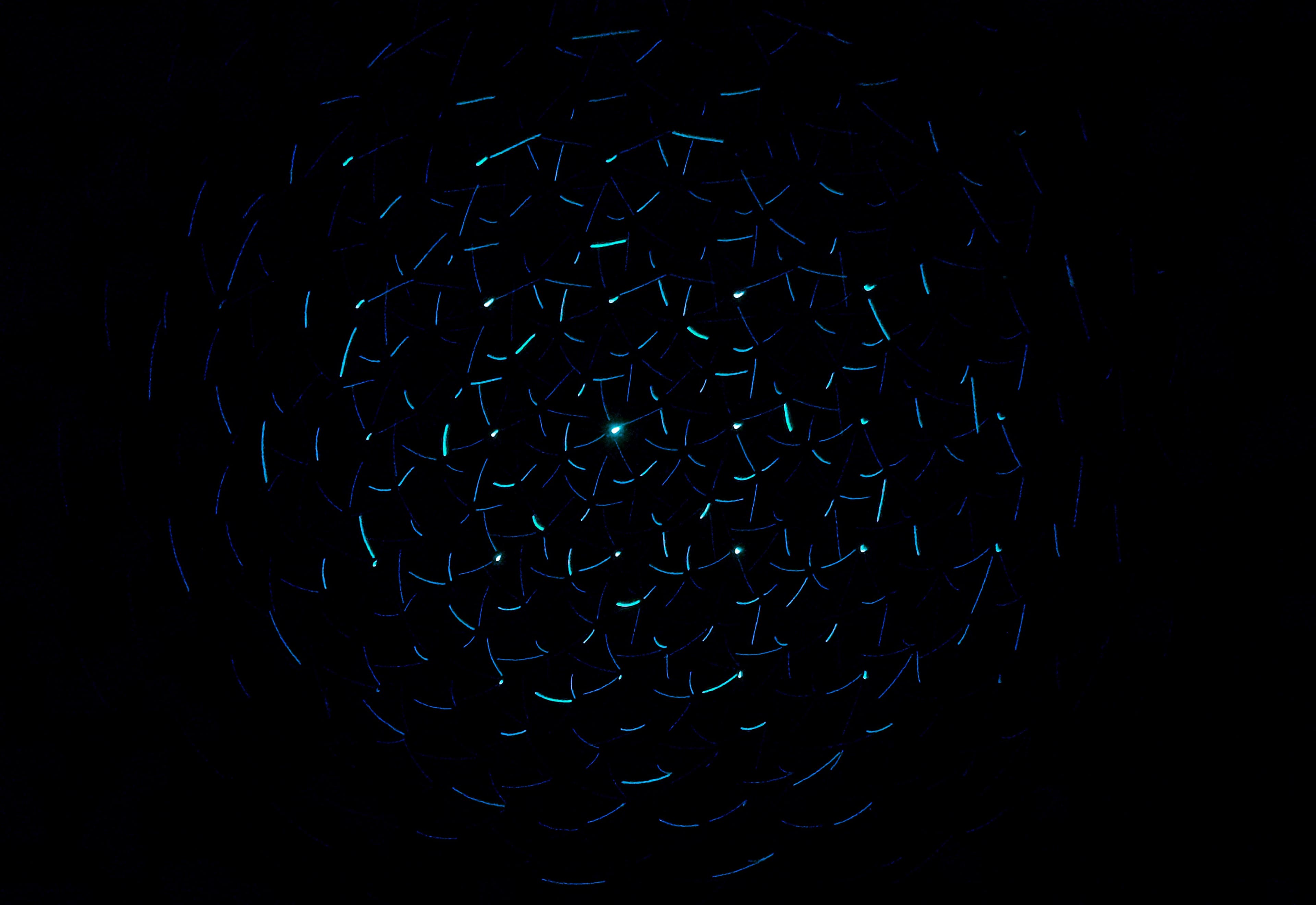 Which Cryptocurrency Hardware Wallet Is Best for You